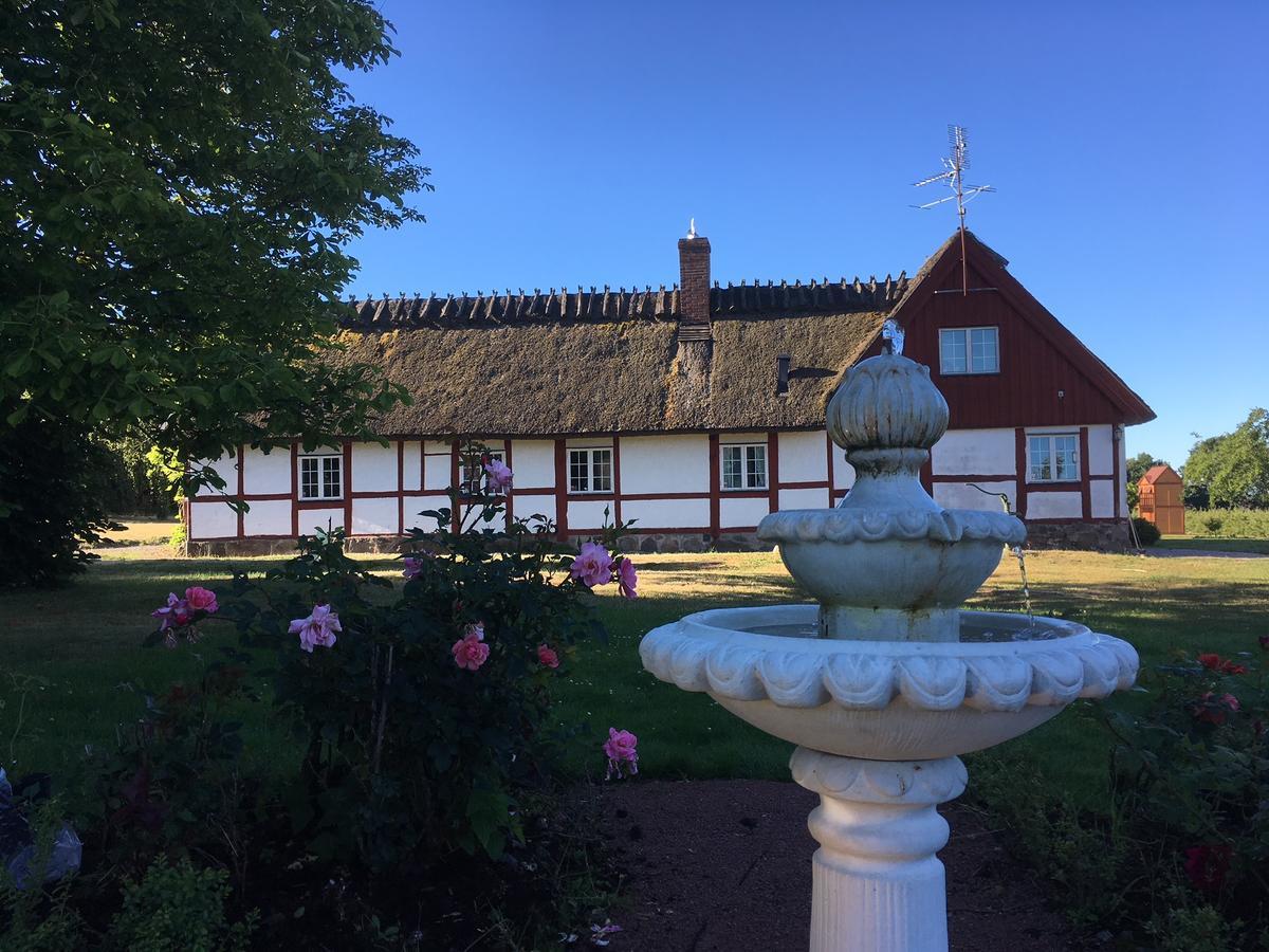 Kastanjegarden Pa Stenshuvud Kivik Exterior photo